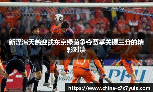 新泽泻天鹅迎战东京绿茵争夺赛季关键三分的精彩对决