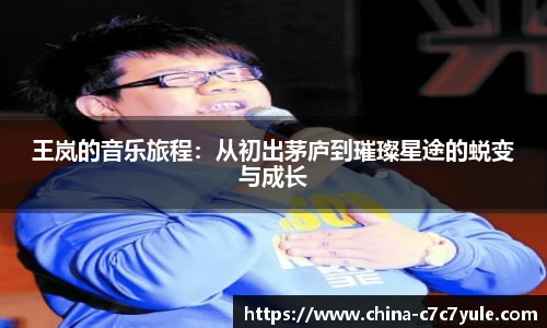 王岚的音乐旅程：从初出茅庐到璀璨星途的蜕变与成长